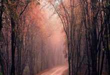 CBA季后赛卡位战终极悬念：收官轮十大对决引爆三大看点.