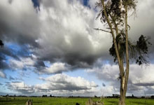 杏彩体育官网：瑞典传奇对阵中国名将！全球乒乓球界庆典：2024年“瓦尔德内尔杯”拉开战幕环球时报.