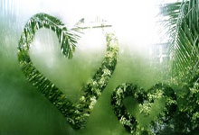 荣耀时刻！迪马利亚晒与梅西手捧大力神杯AI漫画图片.