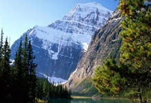 杏彩体育官网：高尔夫蓝湾大师赛挥杆 中泰选手友好交流新华网.