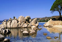 杏彩体育官网：小学里的校冰球馆变身亚冬会冰壶馆？一探究竟→央视新闻客户端.